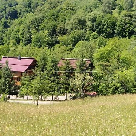 Pensiunea Simina Alsóvisó Kültér fotó