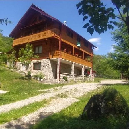 Pensiunea Simina Alsóvisó Kültér fotó