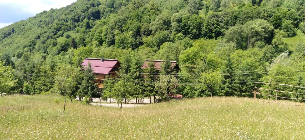 Pensiunea Simina Alsóvisó Kültér fotó